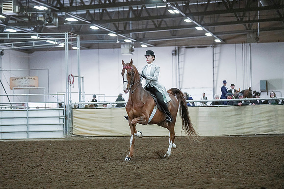 Spring Fling - Saturday - April 20, 2019  -  00407