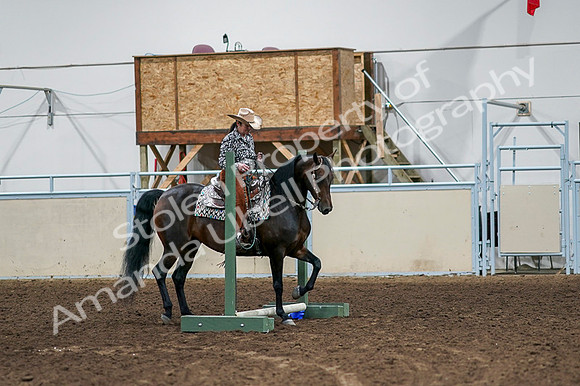 2020 - AB Morgan Horse - Fri, Sept 04 - 00355