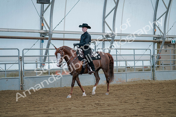 July 21, 2019 - 09185