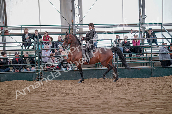 July 20, 2019 - 13884