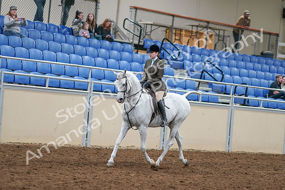 2020 - AB Morgan Horse - Sat, Sept 05 - 14427