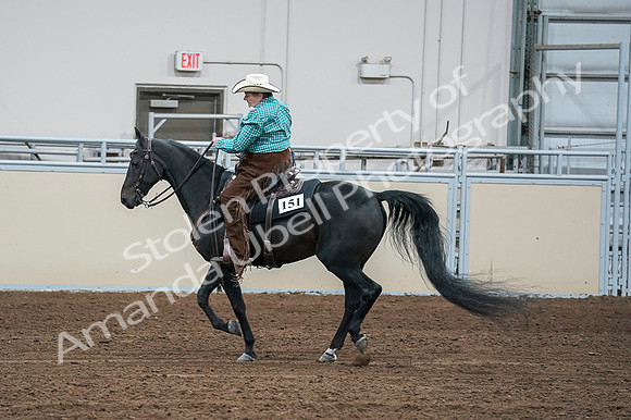 2020 - AB Morgan Horse - Fri, Sept 04 - 00500