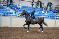 2020 - AB Morgan Horse - Fri, Sept 04 - 06983