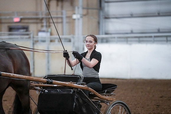 Spring Fling - Saturday - April 20, 2019  -  00316