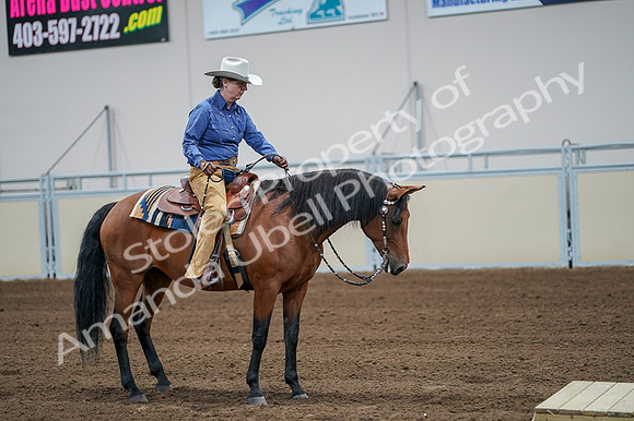 2020 - AB Morgan Horse - Fri, Sept 04 - 00006
