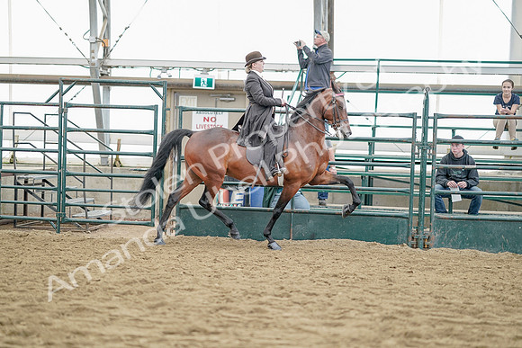 July 21, 2019 - 12274