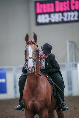 Spring Fling - Saturday - April 20, 2019  -  00852