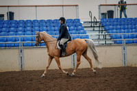 2019 Morgan Horse Show - Aug 30, 2019 - 22186