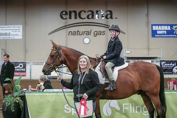 Spring Fling - Saturday - April 20, 2019  -  00164