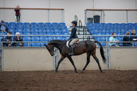 2019 Morgan Horse Show - Aug 31, 2019 - 08041