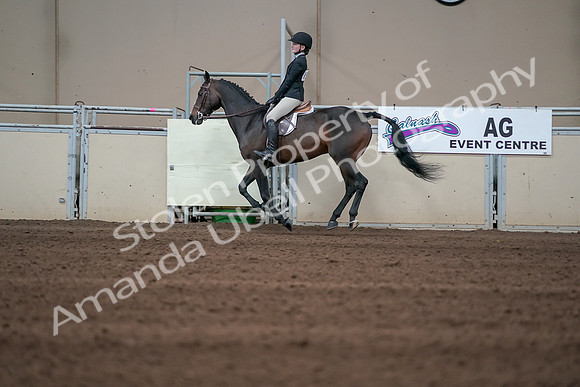 2019 Morgan Horse Show - Sept 01, 2019 - 03738