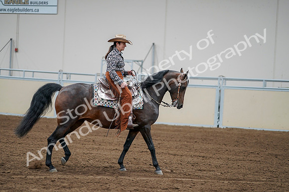 2020 - AB Morgan Horse - Fri, Sept 04 - 00330
