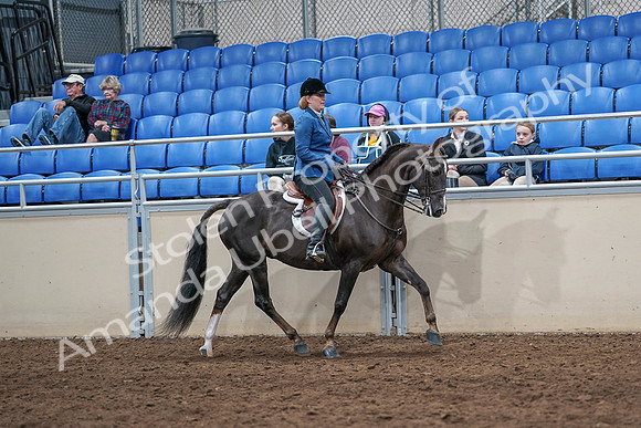 2020 - AB Morgan Horse - Sat, Sept 05 - 05093
