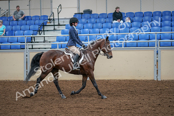 2020 - AB Morgan Horse - Fri, Sept 04 - 06088