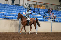 2020 - AB Morgan Horse - Fri, Sept 04 - 02949
