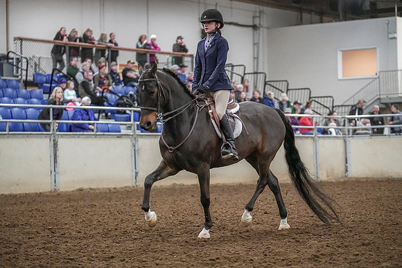 Spring Fling - Saturday - April 20, 2019  -  04576