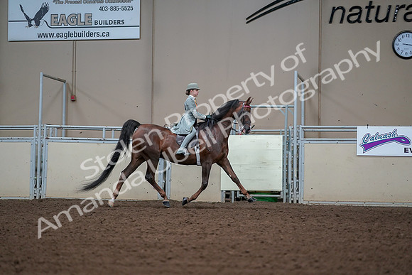 2019 Morgan Horse Show - Aug 30, 2019 - 17932