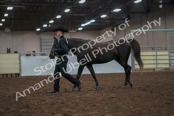2019 Morgan Horse Show - Aug 31, 2019 - 02036