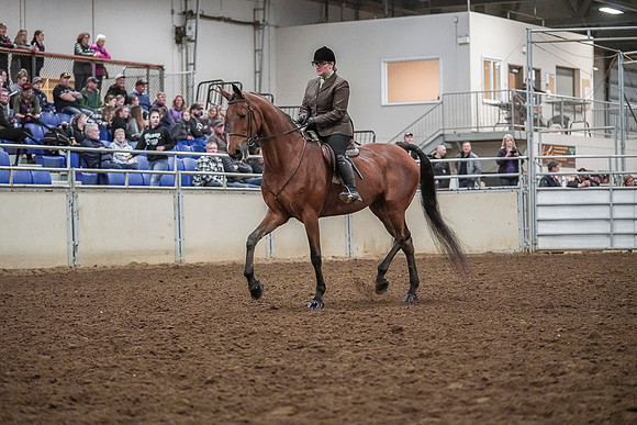 Spring Fling - Saturday - April 20, 2019  -  04547