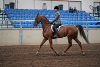 2019 Morgan Horse Show - Sept 01, 2019 - 12167