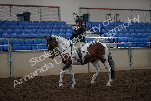 2019 Morgan Horse Show - Aug 30, 2019 - 31113