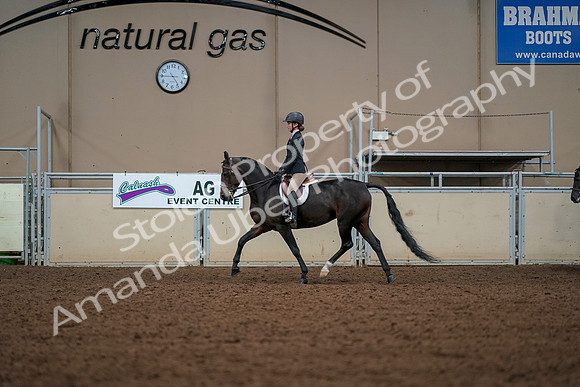 2019 Morgan Horse Show - Aug 30, 2019 - 23252