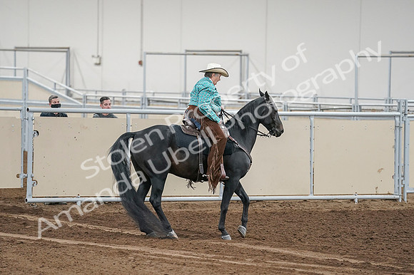 2020 - AB Morgan Horse - Fri, Sept 04 - 00528