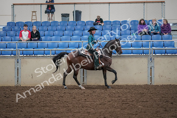 2019 Morgan Horse Show - Aug 30, 2019 - 26186