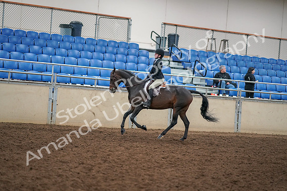 2019 Morgan Horse Show - Aug 30, 2019 - 12301