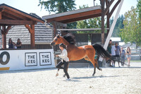 2024 - WCB - July 18 - 02855