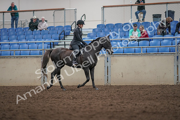 2019 Morgan Horse Show - Aug 31, 2019 - 07388