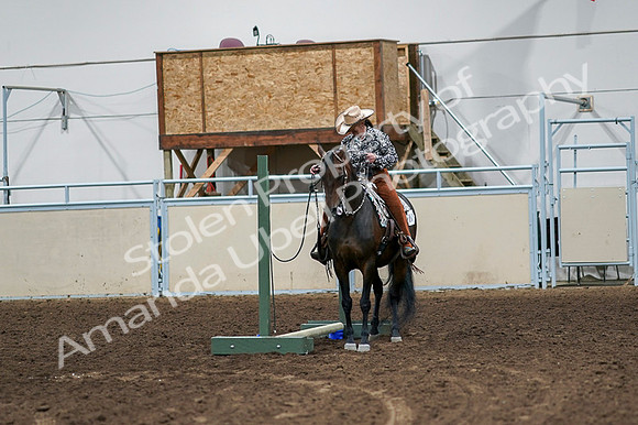 2020 - AB Morgan Horse - Fri, Sept 04 - 00359