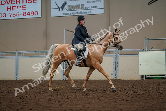 2019 Morgan Horse Show - Aug 30, 2019 - 22616
