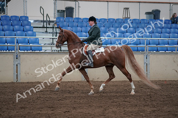 2019 Morgan Horse Show - Sept 01, 2019 - 12188