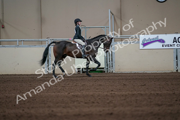 2019 Morgan Horse Show - Sept 01, 2019 - 03867