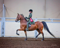 Classic - 9861