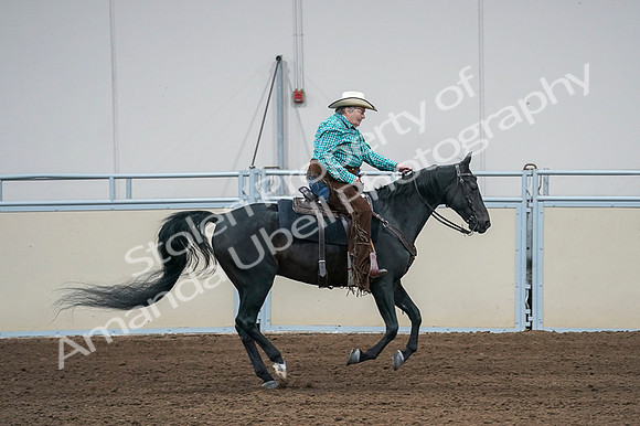 2020 - AB Morgan Horse - Fri, Sept 04 - 00491