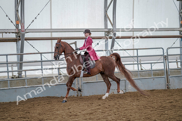 July 20, 2019 - 14494
