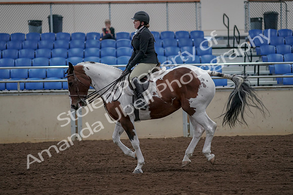 2019 Morgan Horse Show - Aug 30, 2019 - 14957