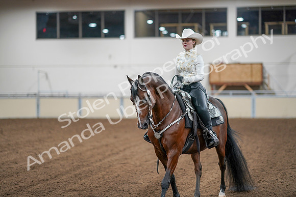 2020 - AB Morgan Horse - Sun, Sept 06 - 07614