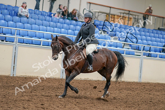 2020 - AB Morgan Horse - Sat, Sept 05 - 14457