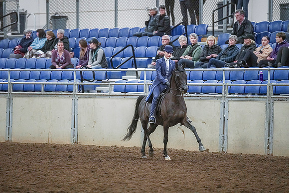 Spring Fling - Saturday - April 20, 2019  -  03952