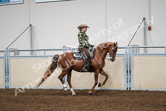 2020 - AB Morgan Horse - Sat, Sept 05 - 08925