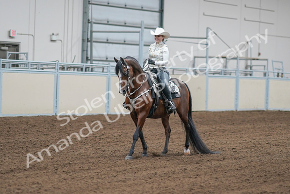 2020 - AB Morgan Horse - Sat, Sept 05 - 09009