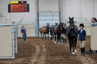 2020 - AB Morgan Horse - Fri, Sept 04 - 00720