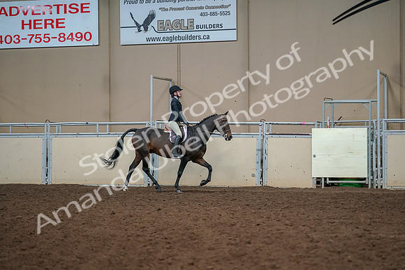 2019 Morgan Horse Show - Aug 30, 2019 - 12483