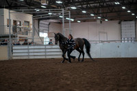 2019 Morgan Horse Show - Aug 31, 2019 - 03382