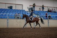 Class 085 - All Breed WalkTrot Hunter Pl 11 & Under