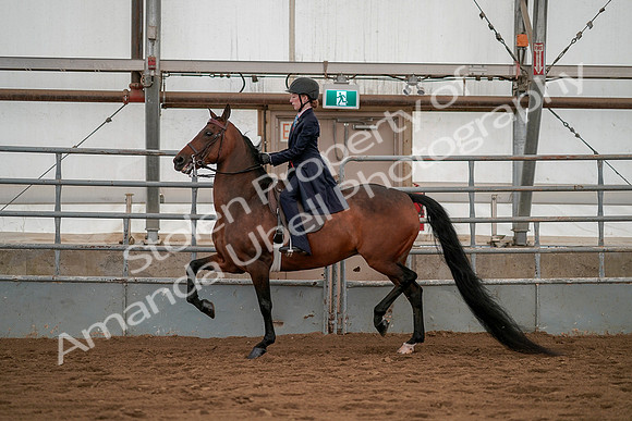 July 19, 2019 - 3817