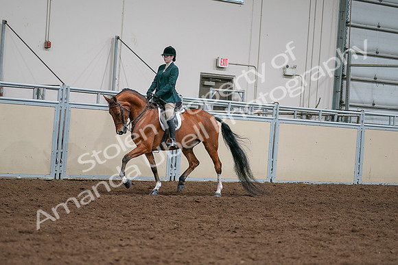 2020 - AB Morgan Horse - Sat, Sept 05 - 05005